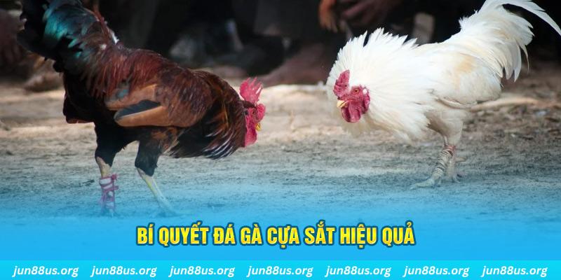 king 88 nổ hũ may mắn
