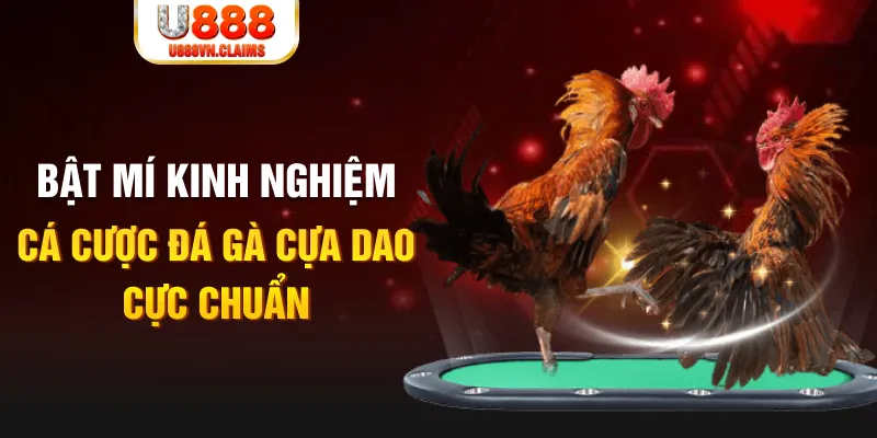 king 88 casino hồ tràm có cho người việt vào không