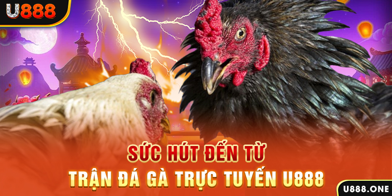 king 88 đăng nhập poker 2024