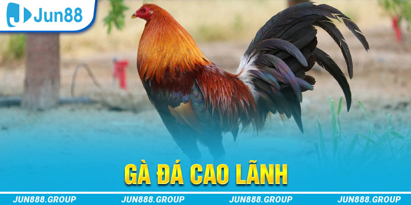 king 88 tai game vua bai ve may tinh