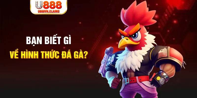 king 88 đăng nhập liêng tặng tiền