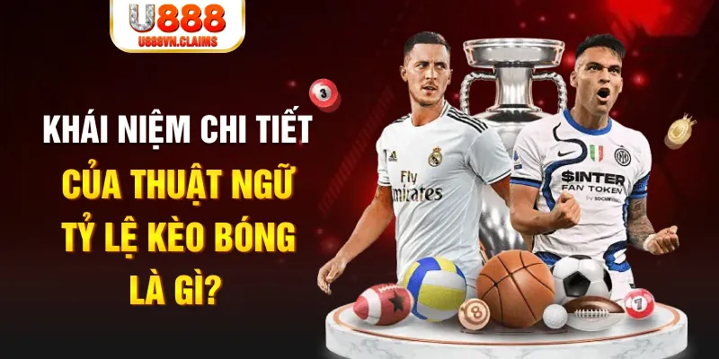 king 88 Long Hổ 2