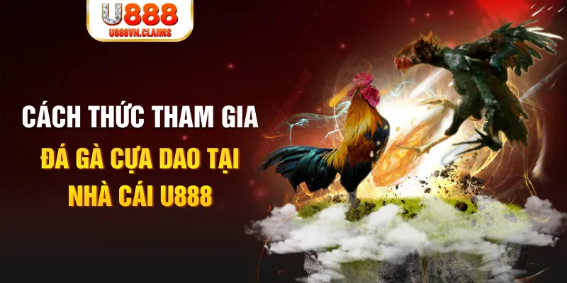king 88 đá gà 88.com