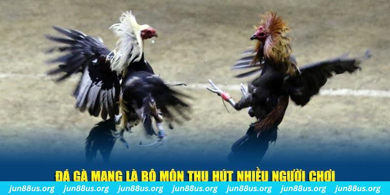 king 88 đăng nhập sòng bạc số 1