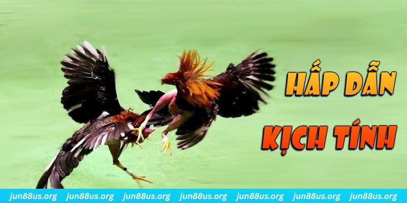 king 88 xổ số miền nam thứ sáu