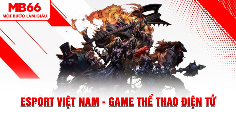 king 88 xổ số sóc trăng