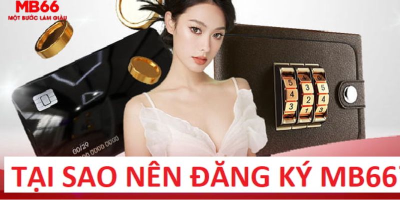 king 88 trực tiếp gà chọi c1
