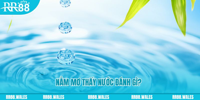 king 88 xổ số trực tiếp miền bắc