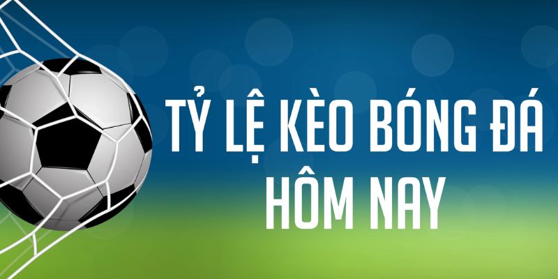 king 88 đăng nhập phỏm