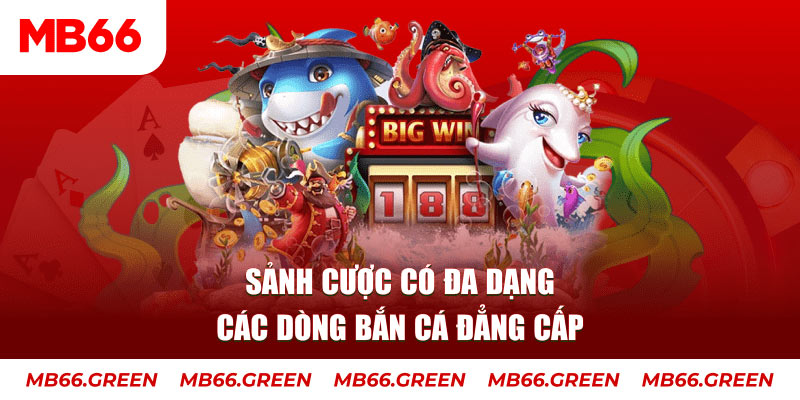 king 88 xổ số đại phát