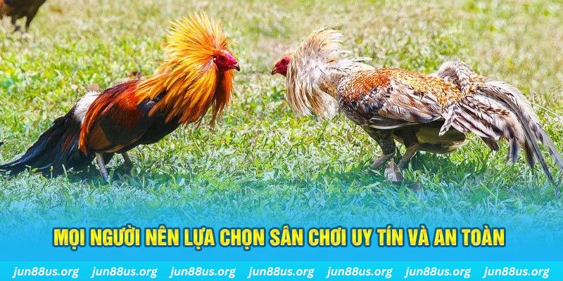king 88 đăng nhập poker 2025