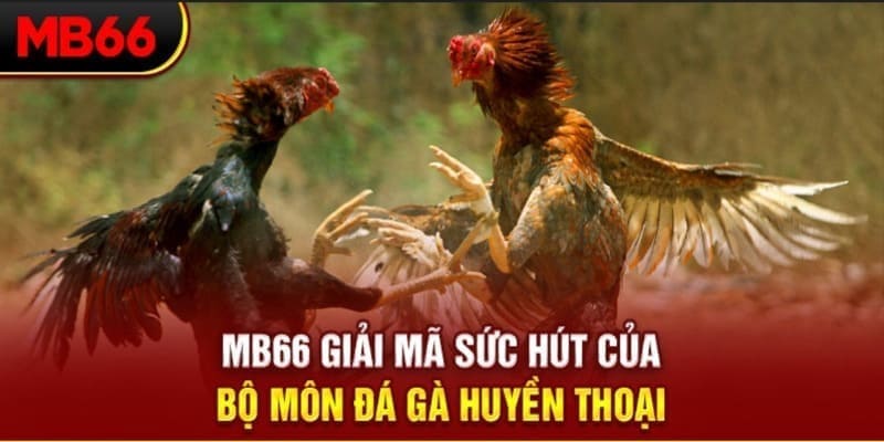 king 88 xổ số đài bắc