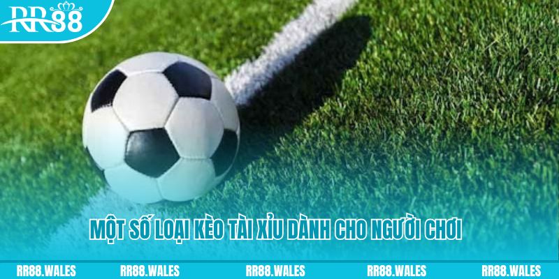 king 88 slot nghĩa là gì
