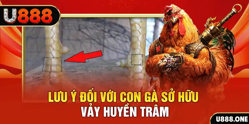 king 88 tải game đánh bài tiến lên miền nam về máy tính