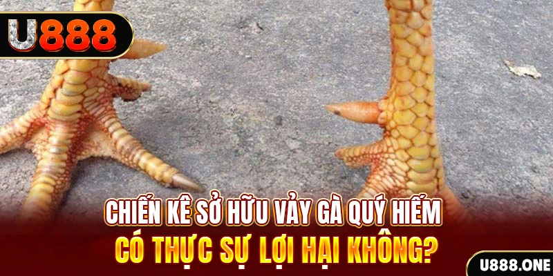 king 88 xổ số miền trung