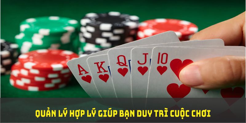 king 88 đá gà trực tiếp thomo 67