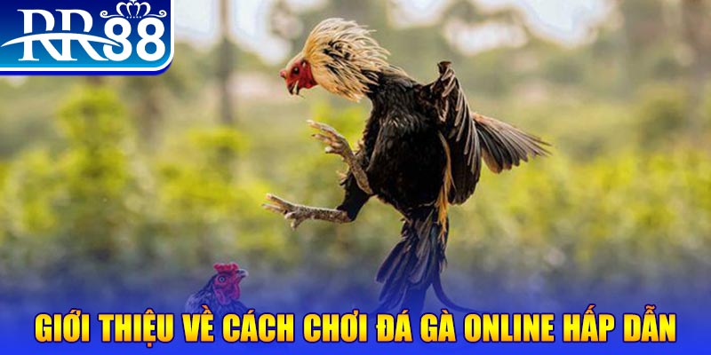 king 88 EvoPlay Điện Tử