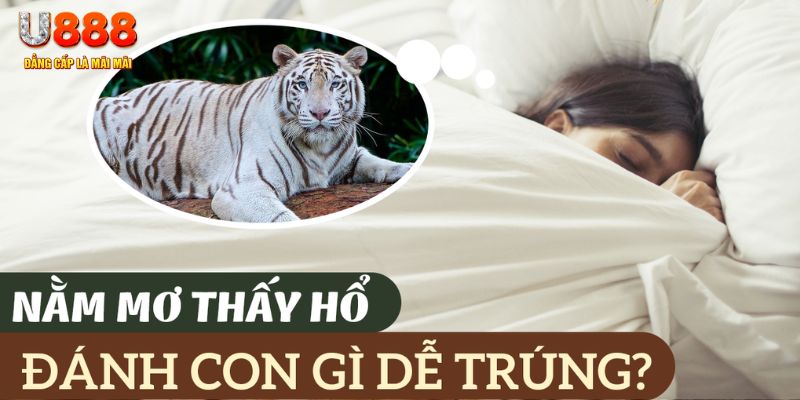 king 88 nohu .mx nổ hủ là gì