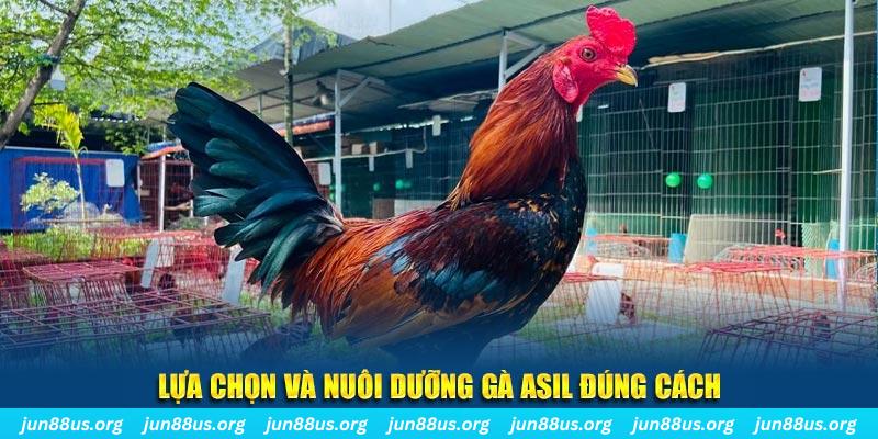 king 88 nổ hũ thần tài là gì