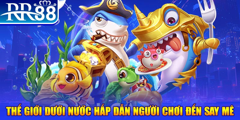 king 88 đăng nhập mậu binh dễ thắng