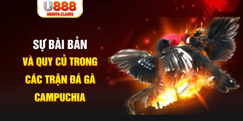 king 88 game xếp bài trên máy tính
