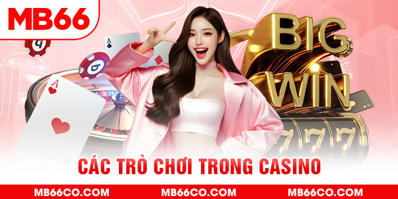 king 88 chổi lông gà