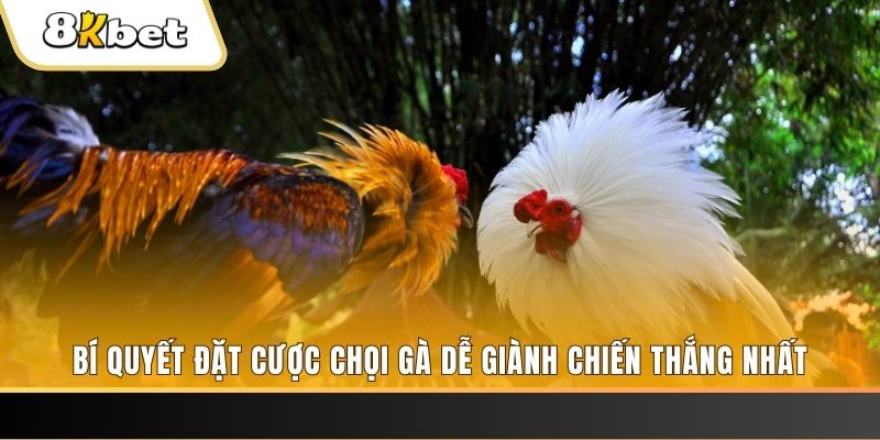 king 88 nổ hũ chơi như thế nào