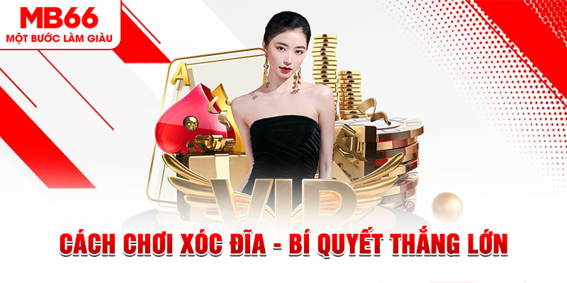 king 88 Đĩa màu ace
