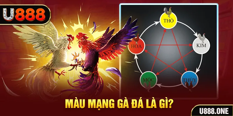 king 88 V8 Game Bài 3d