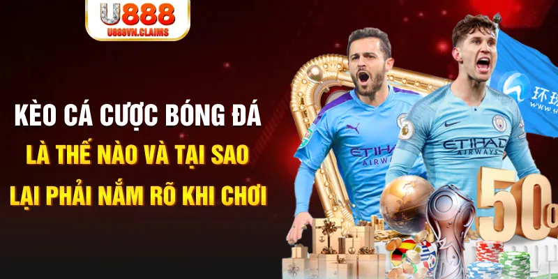 king 88 gà chọi c1 mới nhất