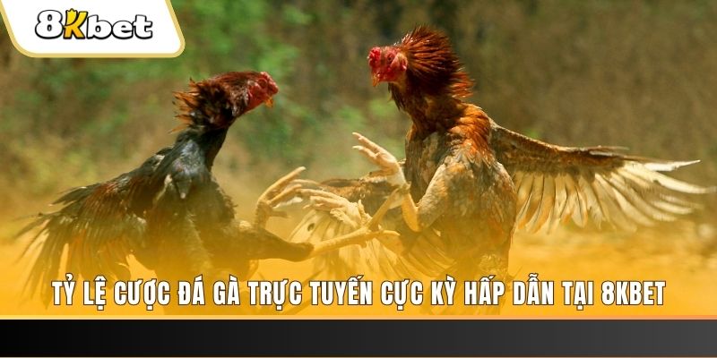 king 88 xổ số miền bắc chủ nhật