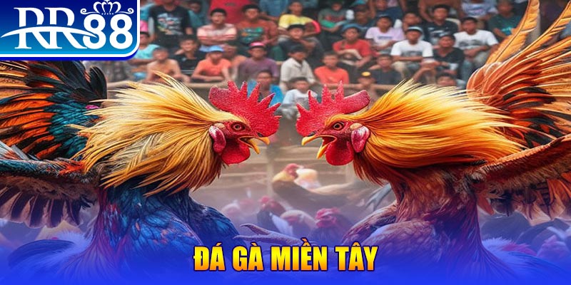 king 88 đăng nhập liêng đổi thưởng