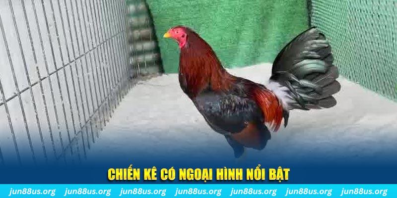 king 88 qq88 bắn cá