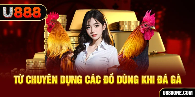 king 88 xổ số hồ chí minh