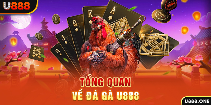 king 88 xổ số vietlott