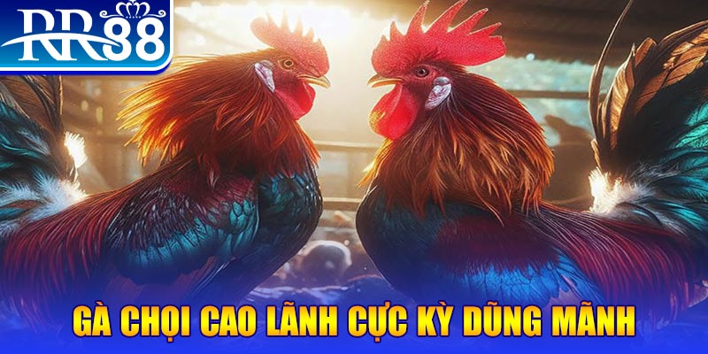 king 88 đăng nhập poker live